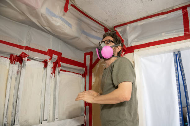 Mold Documentation for Insurance Claims in Appleton, MN