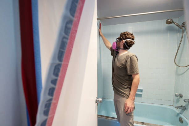 Best Dehumidification Services  in Appleton, MN